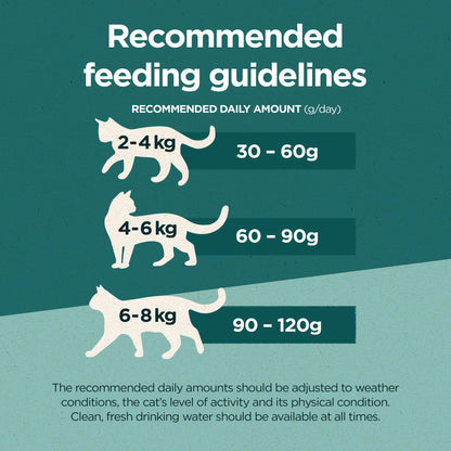 PURINA ONE Dry Cat Food - Sayby’s