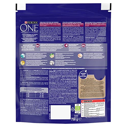 PURINA ONE Dry Cat Food - Sayby’s