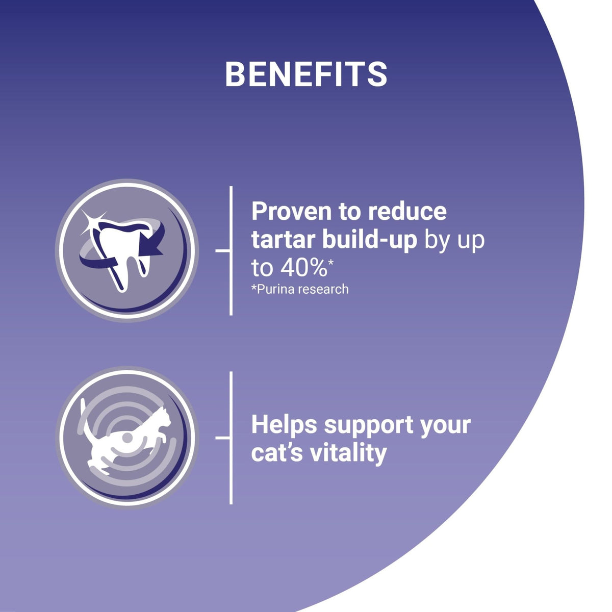 PURINA ONE Dry Cat Food - Sayby’s