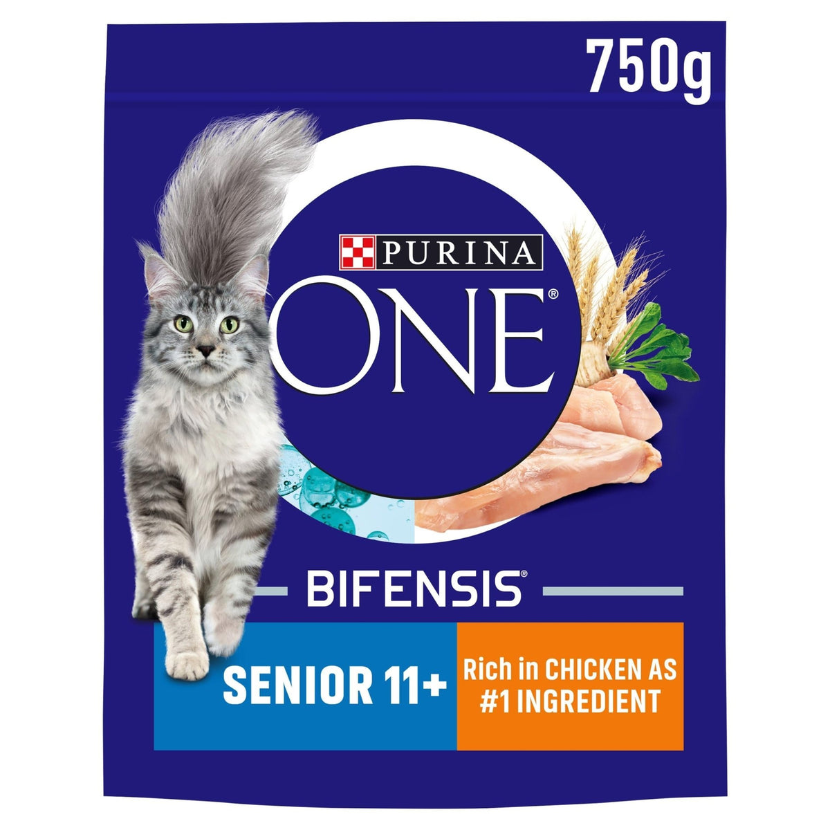 PURINA ONE | Dry Cat Food - Sayby’s