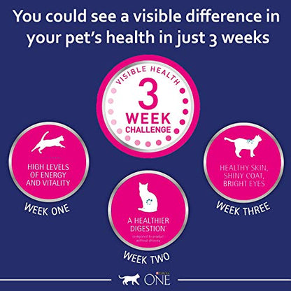 PURINA ONE Dry Cat Food - Sayby’s