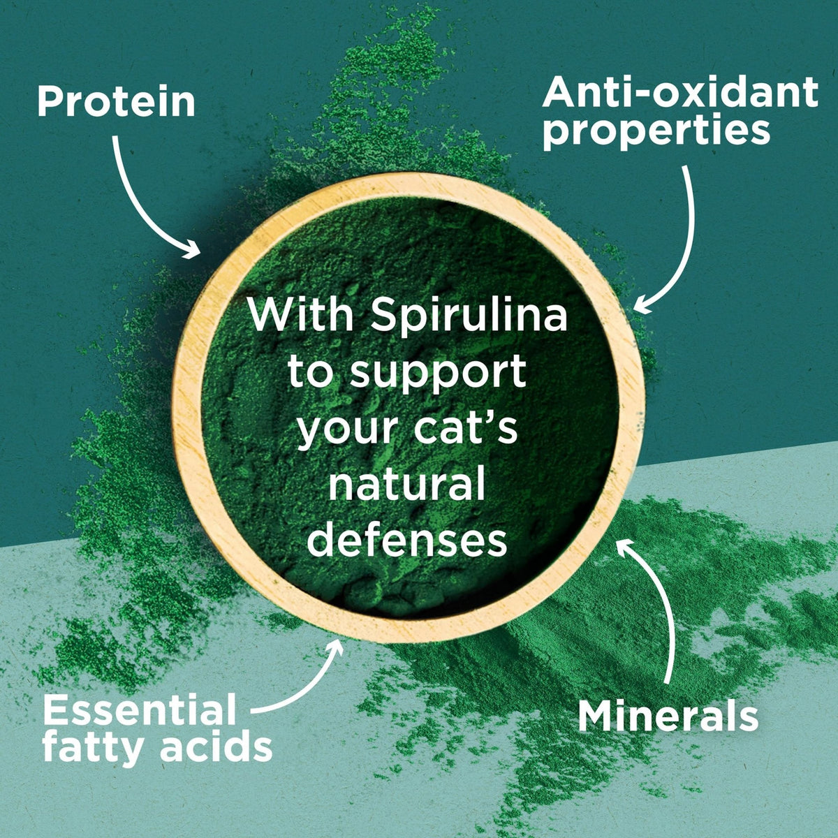 PURINA ONE Dry Cat Food - Sayby’s
