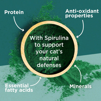 PURINA ONE Dry Cat Food - Sayby’s
