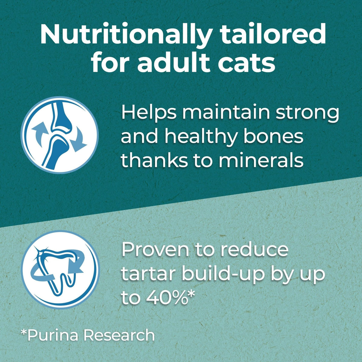PURINA ONE Dry Cat Food - Sayby’s