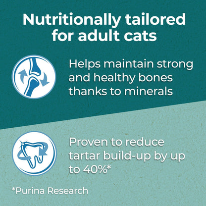 PURINA ONE Dry Cat Food - Sayby’s