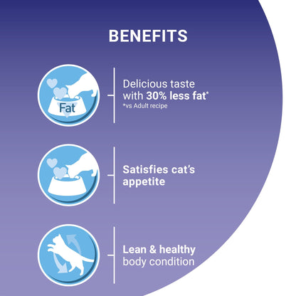 PURINA ONE Dry Cat Food - Sayby’s
