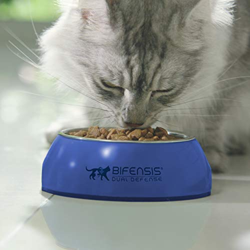 PURINA ONE Dry Cat Food - Sayby’s