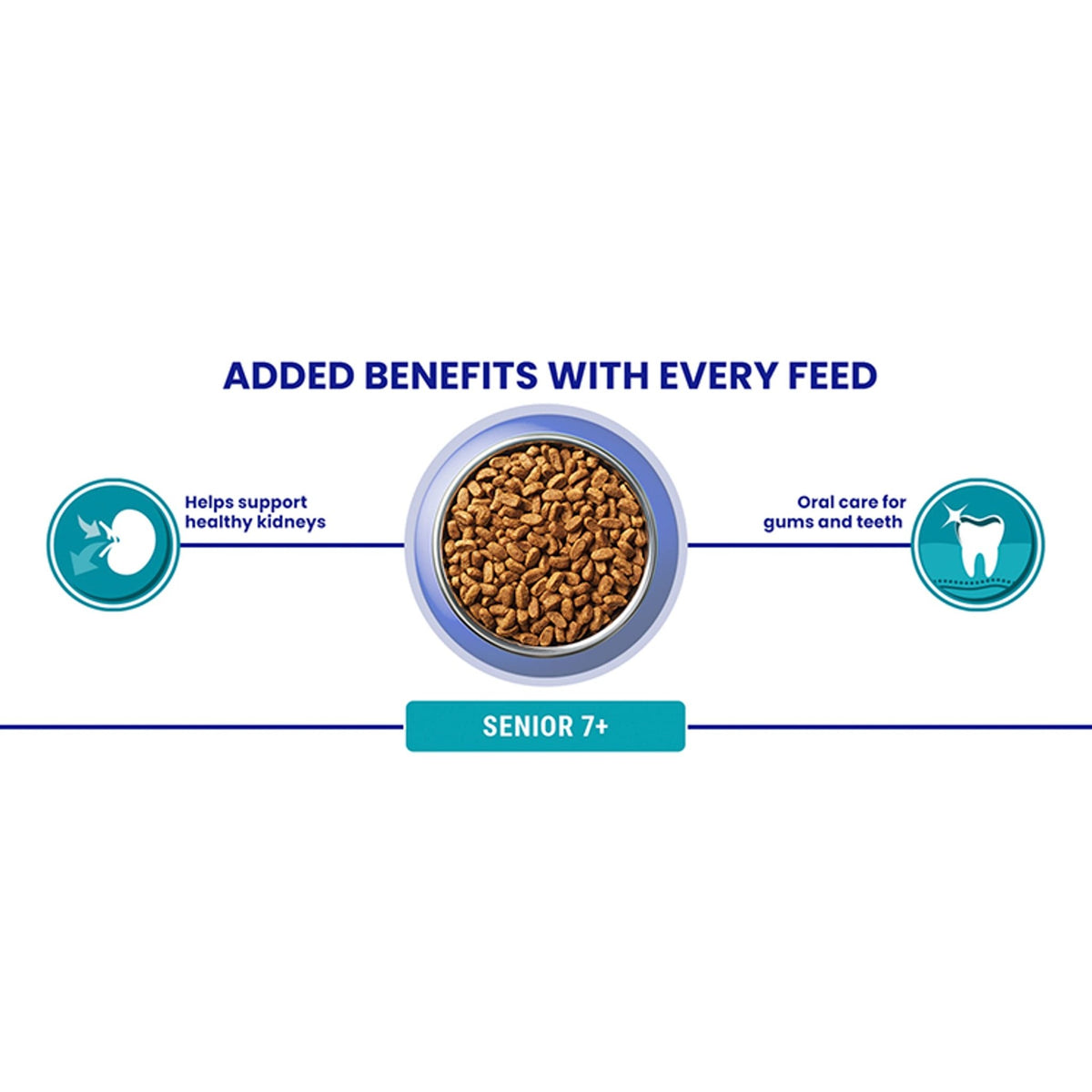 PURINA ONE Dry Cat Food - Sayby’s