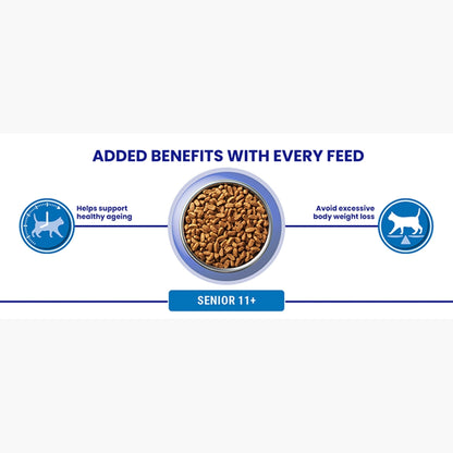 PURINA ONE | Dry Cat Food - Sayby’s