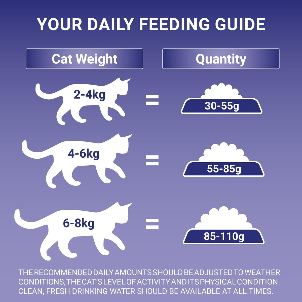 PURINA ONE | Dry Cat Food - Sayby’s