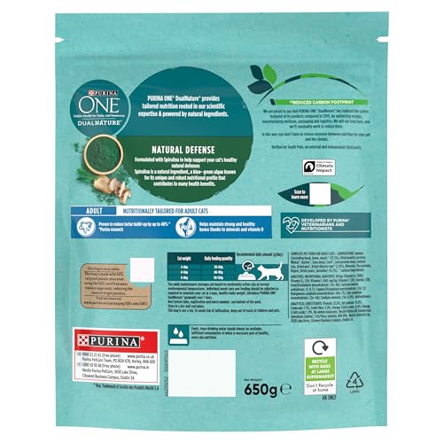 PURINA ONE Dry Cat Food - Sayby’s