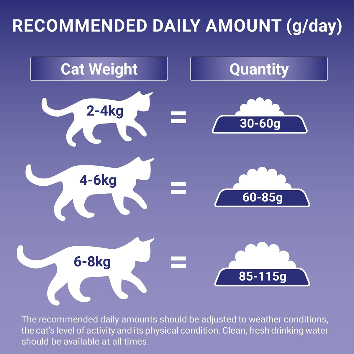 PURINA ONE Dry Cat Food - Sayby’s