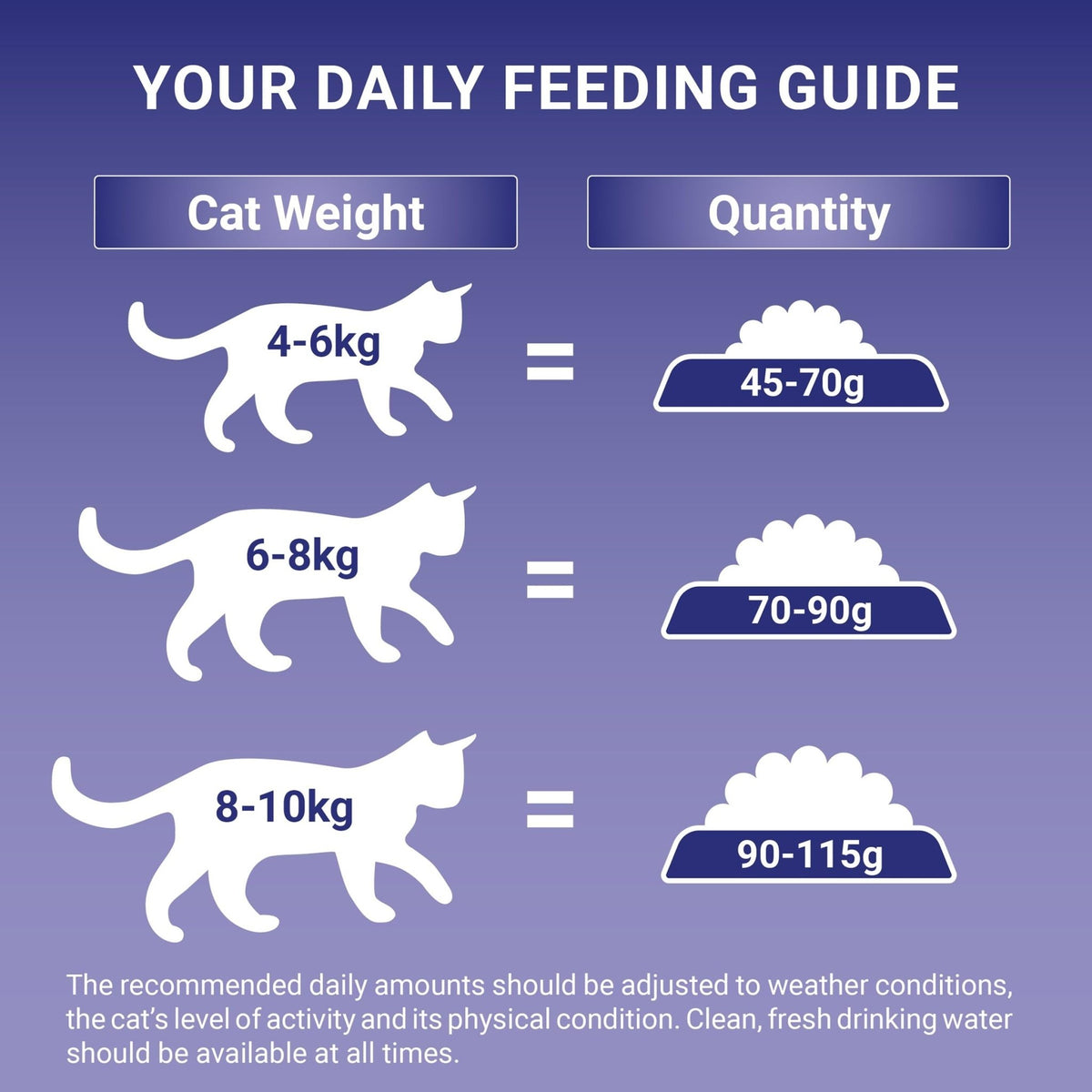 PURINA ONE | Dry Cat Food - Sayby’s