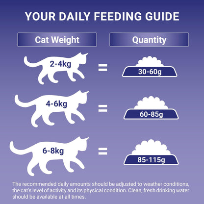 PURINA ONE Dry Cat Food - Sayby’s