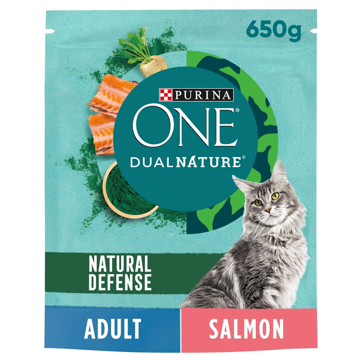 PURINA ONE Dry Cat Food - Sayby’s