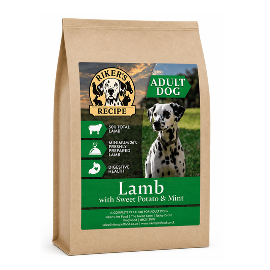 Lamb And Sweet Potato With Mint Dog Food 2kg