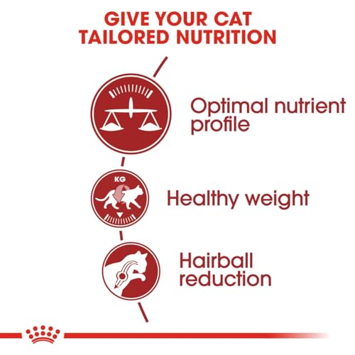 Royal Canin Fit 32 Cat Food, Dry Mix, 2kg - Sayby’s