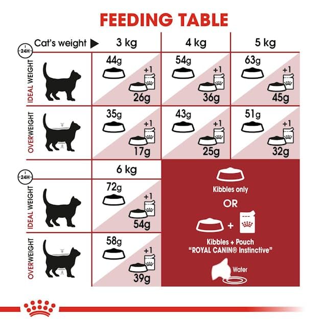 Royal Canin Fit 32 Cat Food, Dry Mix, 2kg - Sayby’s