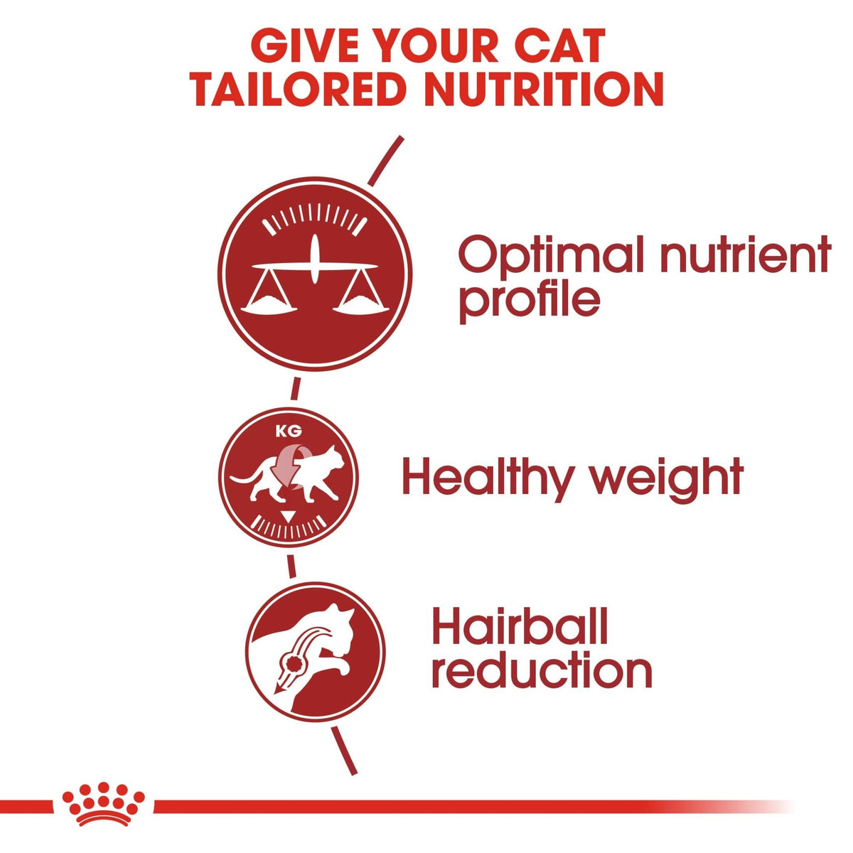 Royal Canin Fit 32 Cat Food, Dry Mix, 2kg - Sayby’s