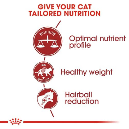 Royal Canin Fit 32 Cat Food, Dry Mix, 2kg - Sayby’s
