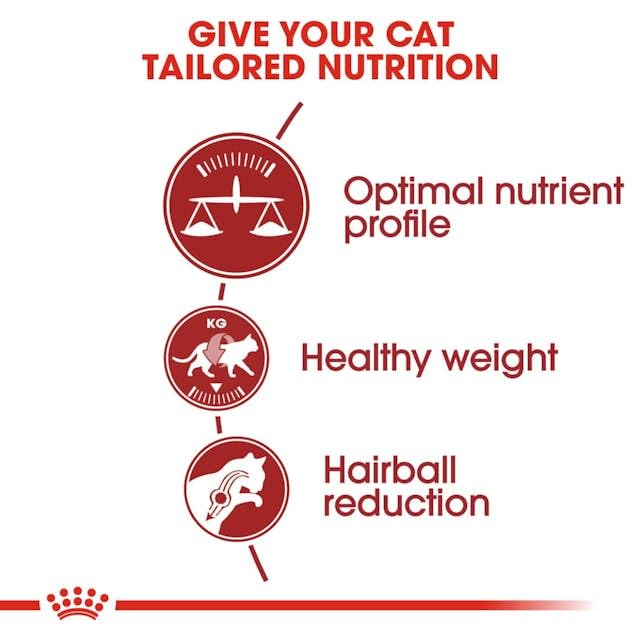 Royal Canin Fit 32 Cat Food, Dry Mix, 2kg - Sayby’s