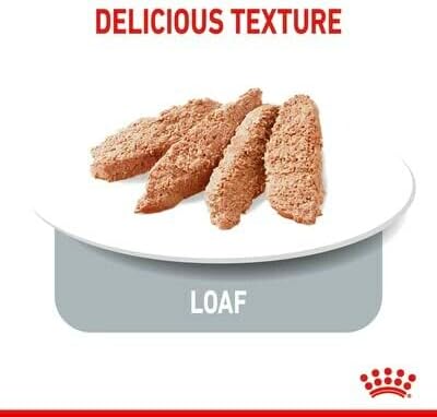 Royal Canin Light Weight Care Adult Dog Wet Pouches 85g - Sayby’s