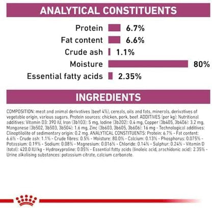 ROYAL CANIN Renal Veterinary Health Nutrition Cat Food Wet Chicken 48 x 85g pouches - Sayby’s