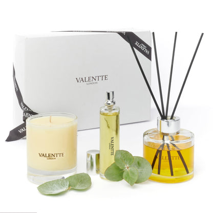 Scented Gift Box with Candle, Reed Diffuser, and Room Mist, Aromatherapy Essential Oils, Long Lasting Fragrance, Made in the UK (Lemongrass and Rosemary) (150g, 100ml, 30ml) - Valentte - Sayby’s