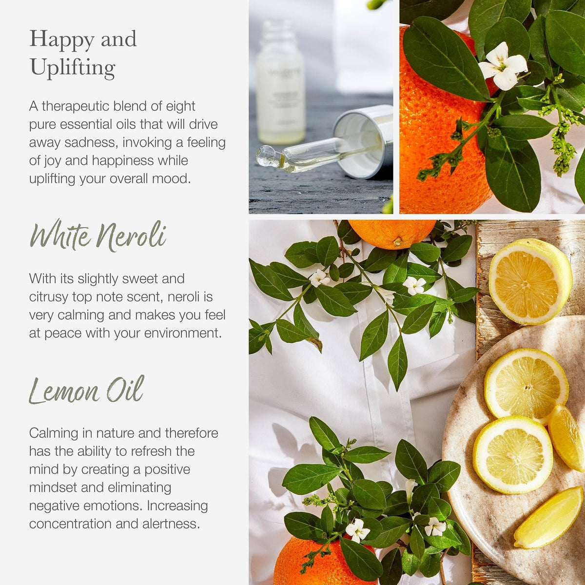 Scented Gift Box with Candle, Reed Diffuser, and Room Mist, Aromatherapy Essential Oils, Long Lasting Fragrance, Made in the UK (Lemongrass and Rosemary) (150g, 100ml, 30ml) - Valentte - Sayby’s