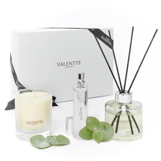 Scented Gift Box with Candle, Reed Diffuser, and Room Mist, Aromatherapy Essential Oils, Long Lasting Fragrance, Made in the UK (Lemongrass and Rosemary) (150g, 100ml, 30ml) - Valentte - Sayby’s