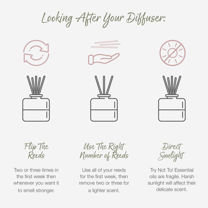 Scented Gift Box with Candle, Reed Diffuser, and Room Mist, Aromatherapy Essential Oils, Long Lasting Fragrance, Made in the UK (Lemongrass and Rosemary) (150g, 100ml, 30ml) - Valentte - Sayby’s