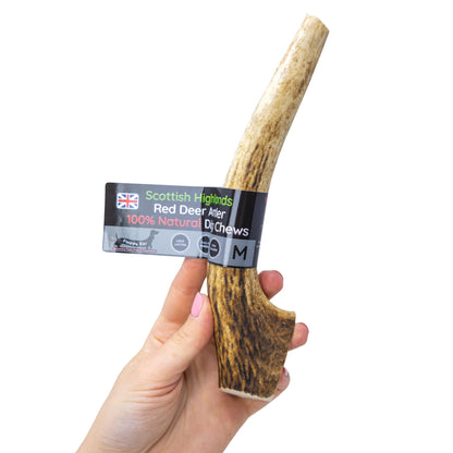 Scottish Deer Antler Dog Chews - Naturally Shed, Long Lasting, 100% Natural… (Deer Antler Chew Medium 90-130g) - Sayby’s