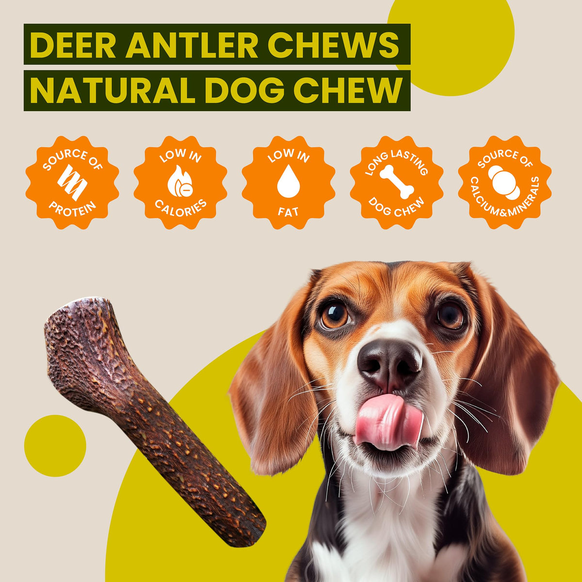 Scottish Deer Antler Dog Chews - Naturally Shed, Long Lasting, 100% Natural… (Deer Antler Chew Medium 90-130g) - Sayby’s