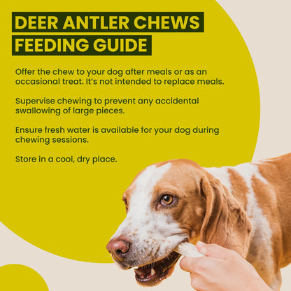 Scottish Deer Antler Dog Chews - Naturally Shed, Long Lasting, 100% Natural… (Deer Antler Chew Medium 90-130g) - Sayby’s