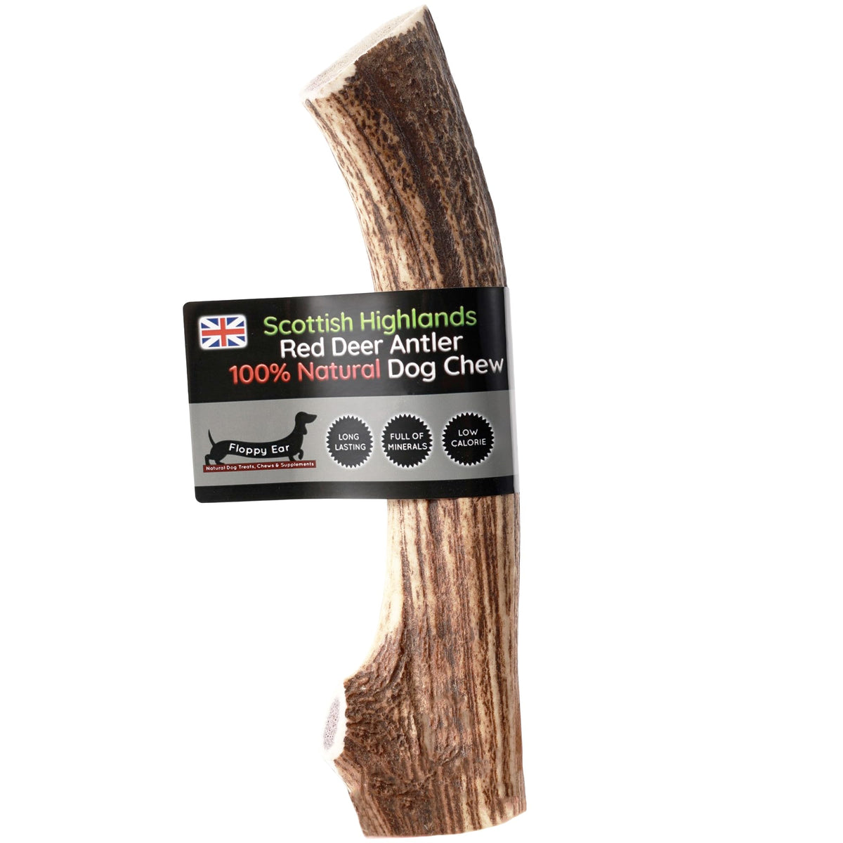 Scottish Deer Antler Dog Chews - Naturally Shed, Long Lasting, 100% Natural… (Deer Antler Chew Medium 90-130g) - Sayby’s