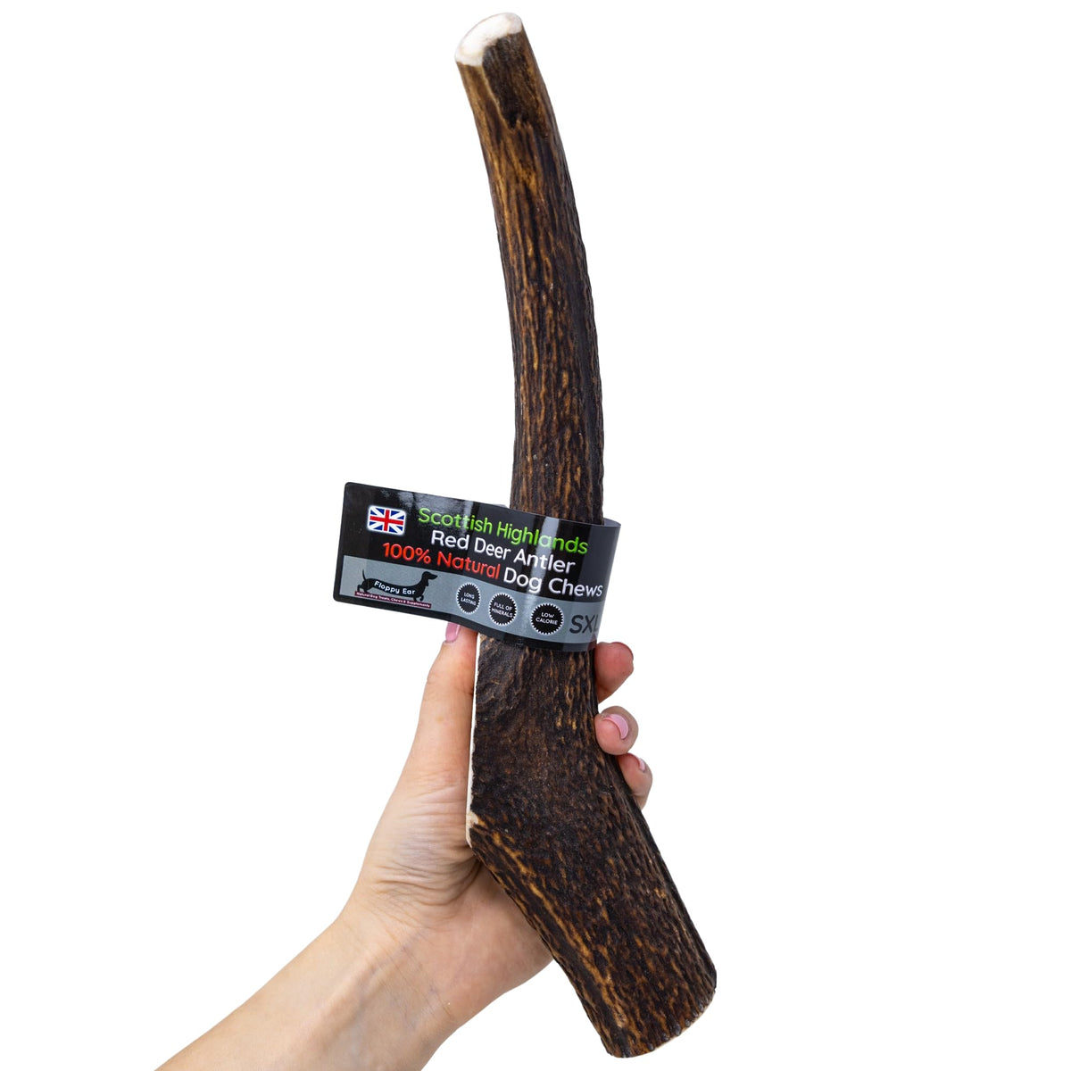 Scottish Deer Antler Dog Chews - Naturally Shed, Long Lasting, 100% Natural… (Deer Antler Chew Medium 90-130g) - Sayby’s