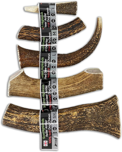 Scottish Deer Antler Dog Chews - Naturally Shed, Long Lasting, 100% Natural… (Deer Antler Chew Medium 90-130g) - Sayby’s