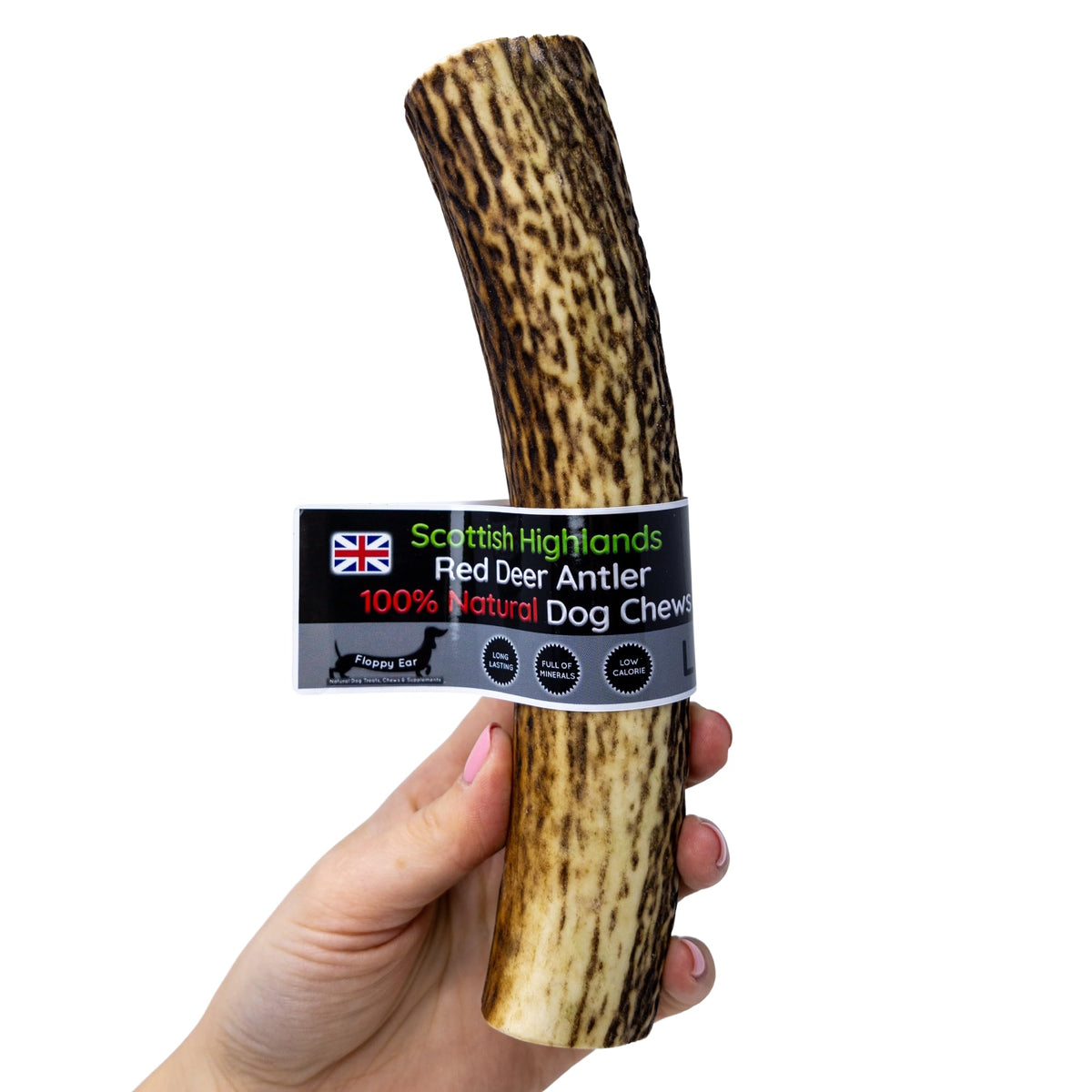 Scottish Deer Antler Dog Chews - Naturally Shed, Long Lasting, 100% Natural… (Deer Antler Chew Medium 90-130g) - Sayby’s