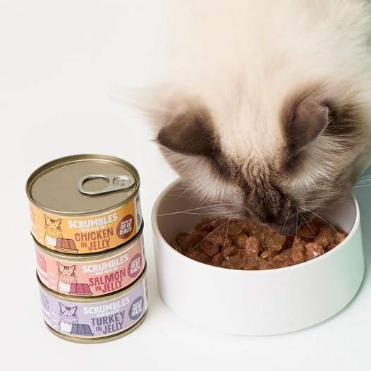 Scrumbles Wet Cat Jelly Meat Selection 6 x 80g - Sayby’s