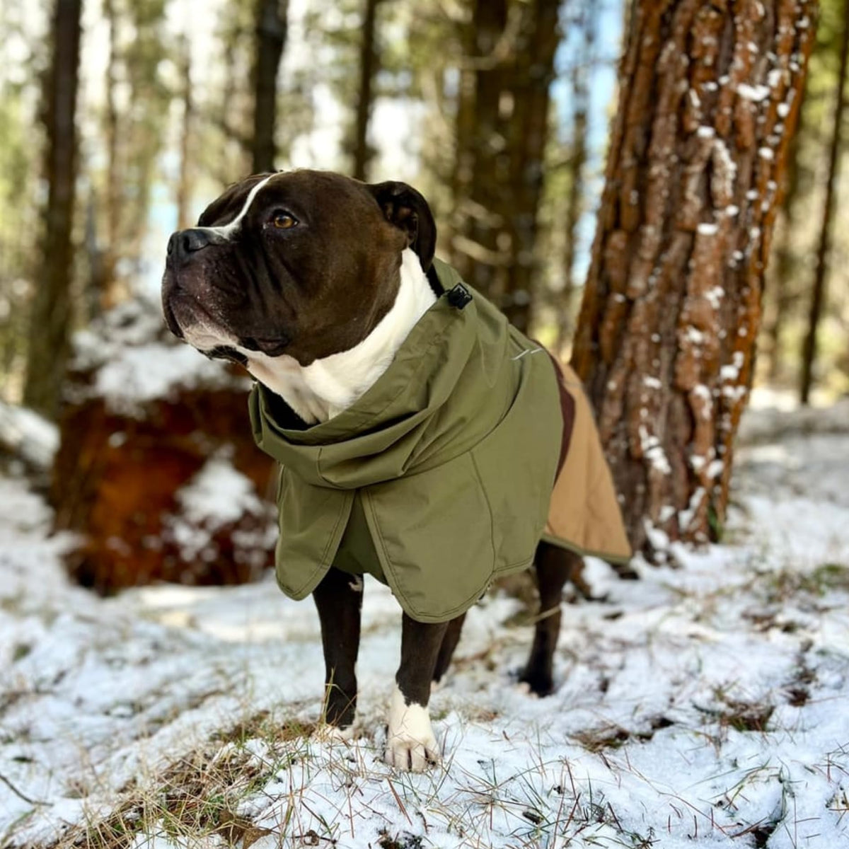 Spark Paws Dog Raincoat, Waterproof Windproof Rain Jacket, For Small Medium Large Extra Large Dogs, Reflective Breathable Full-body Coverage Dry Suit - Sea Pink, 2XL - Sayby’s