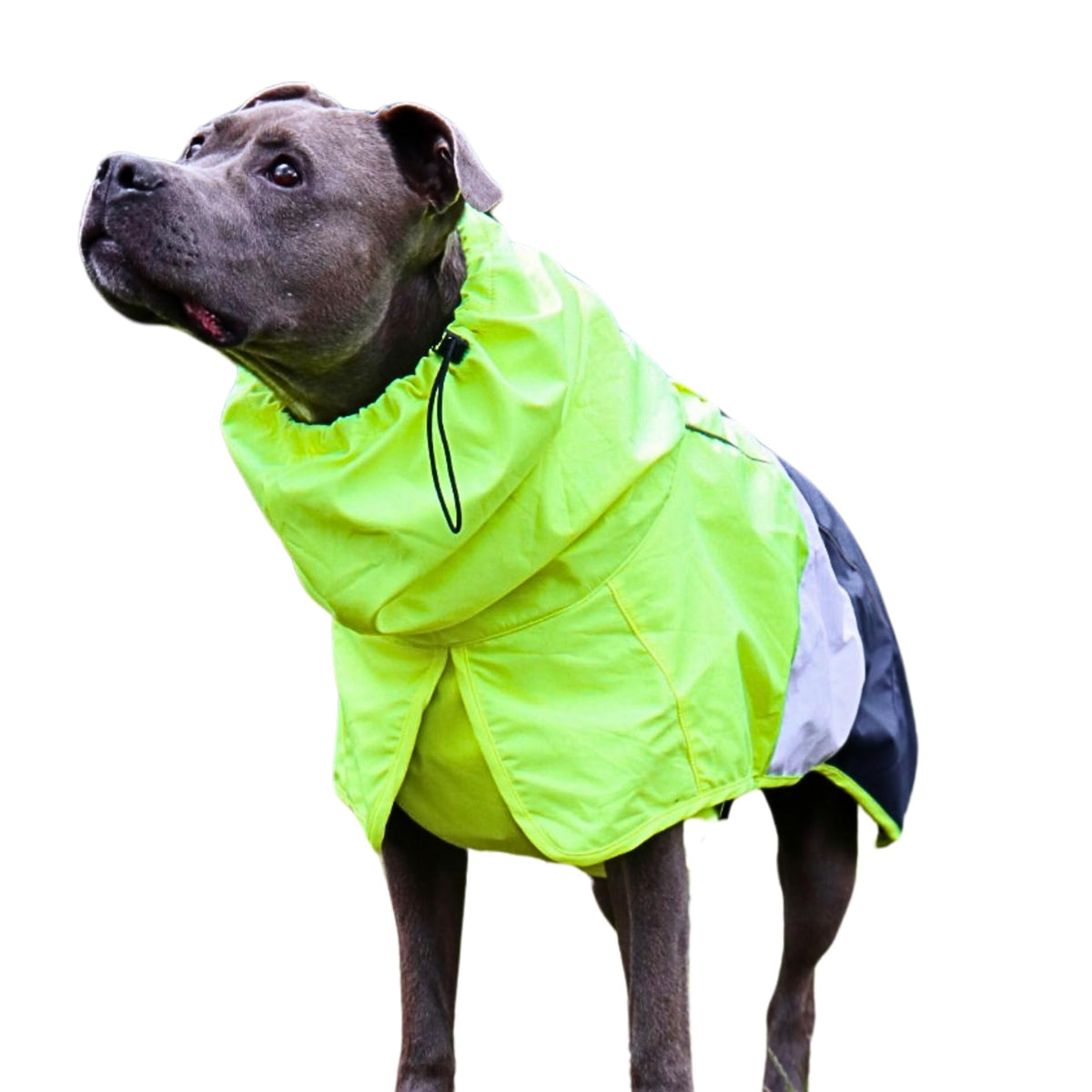 Spark Paws Dog Raincoat, Waterproof Windproof Rain Jacket, For Small Medium Large Extra Large Dogs, Reflective Breathable Full-body Coverage Dry Suit - Sea Pink, 2XL - Sayby’s