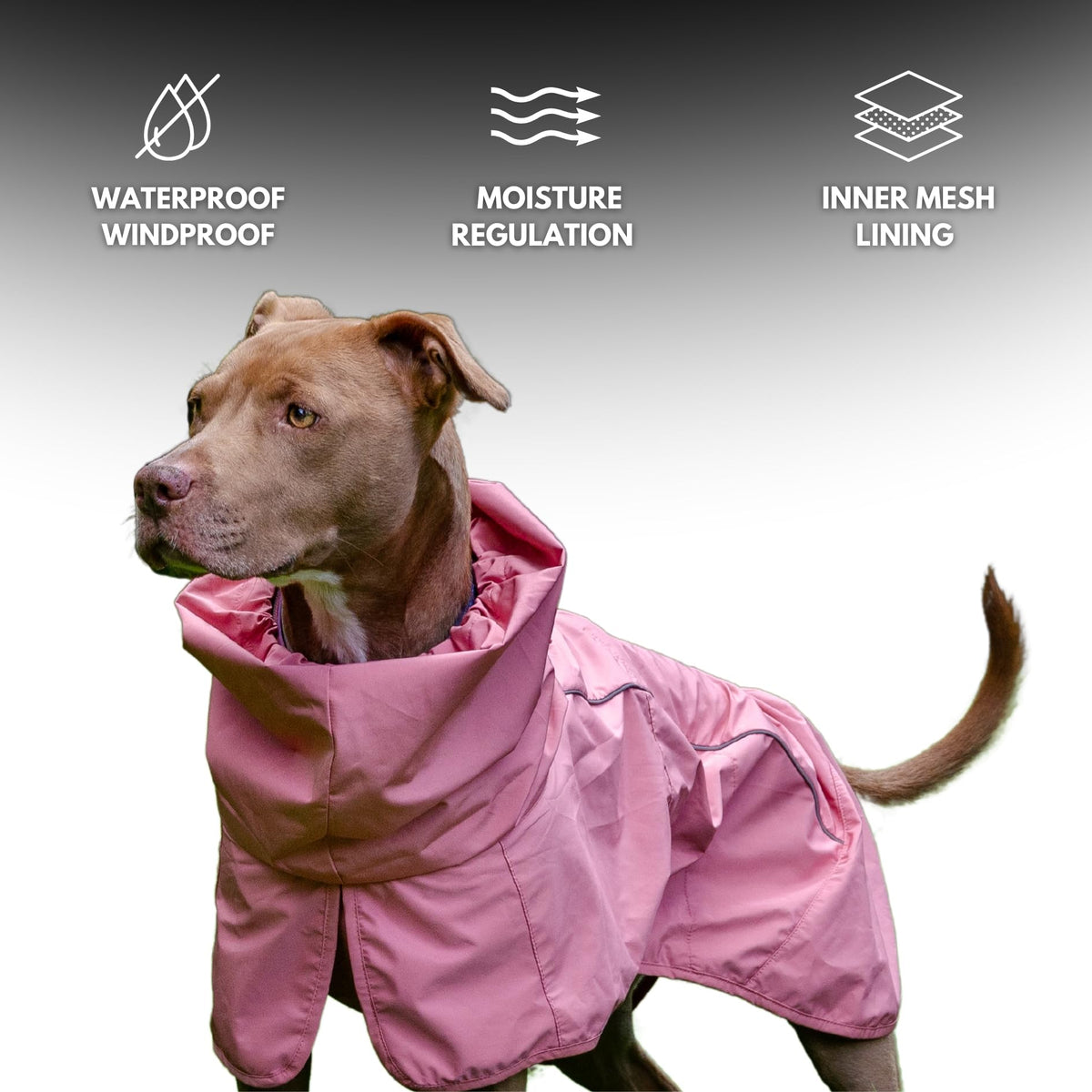 Spark Paws Dog Raincoat, Waterproof Windproof Rain Jacket, For Small Medium Large Extra Large Dogs, Reflective Breathable Full-body Coverage Dry Suit - Sea Pink, 2XL - Sayby’s