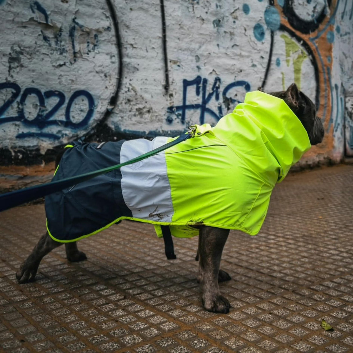 Spark Paws Dog Raincoat, Waterproof Windproof Rain Jacket, For Small Medium Large Extra Large Dogs, Reflective Breathable Full-body Coverage Dry Suit - Sea Pink, 2XL - Sayby’s