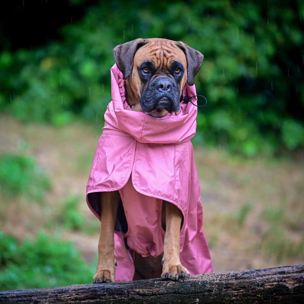 Spark Paws Dog Raincoat, Waterproof Windproof Rain Jacket, For Small Medium Large Extra Large Dogs, Reflective Breathable Full-body Coverage Dry Suit - Sea Pink, 2XL - Sayby’s