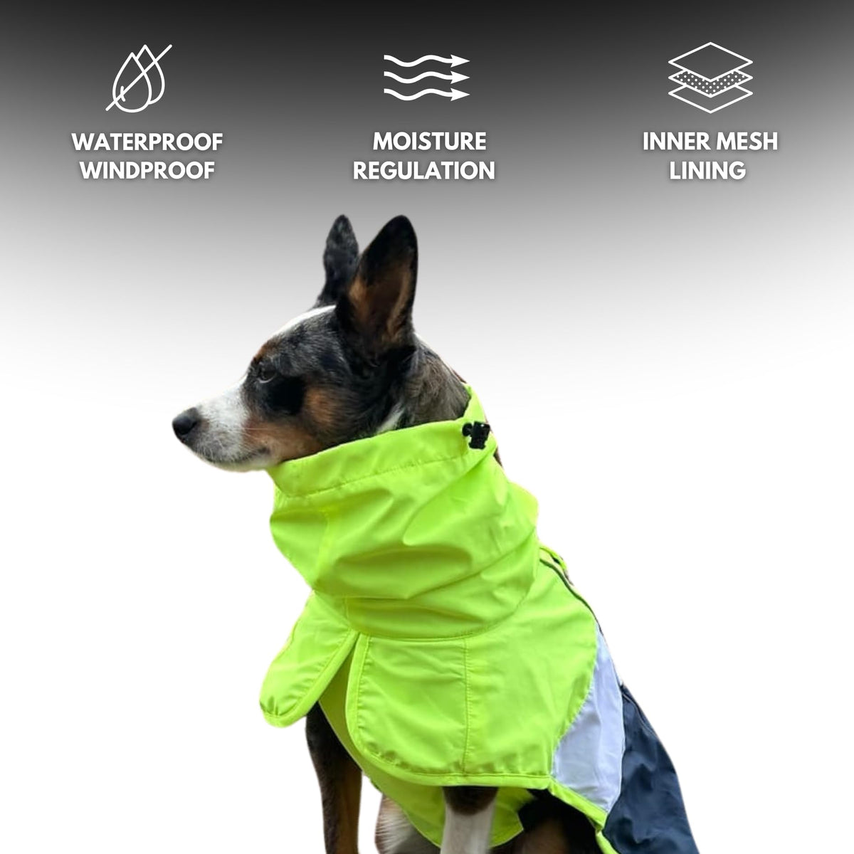 Spark Paws Dog Raincoat, Waterproof Windproof Rain Jacket, For Small Medium Large Extra Large Dogs, Reflective Breathable Full-body Coverage Dry Suit - Sea Pink, 2XL - Sayby’s