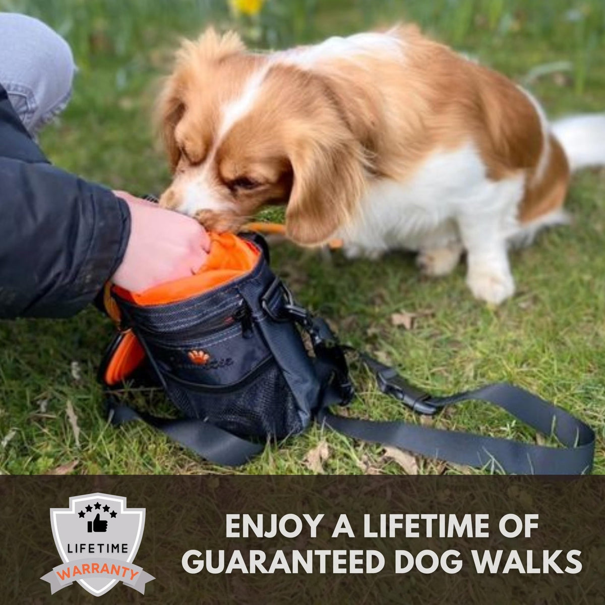 Sweetie Premium Dog Treat Pouch Bag for Walking & Training, with Poop Bag Holder, Collapsible Bowl & Free Clicker - Perfect Puppy Kit - Sayby’s