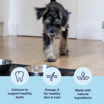 Tails.com Inner Vitality • Wet Dog Food 11 x 150g • Sensitive Chicken & Cod • Adult 1-7 years • Grain Free Recipe • Made with natural ingredients • Contains Omega 3 to Support Skin and Coat - Sayby’s