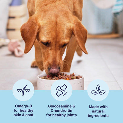 Tails.com Inner Vitality • Wet Dog Food 11 x 150g • Sensitive Chicken & Cod • Adult 1-7 years • Grain Free Recipe • Made with natural ingredients • Contains Omega 3 to Support Skin and Coat - Sayby’s
