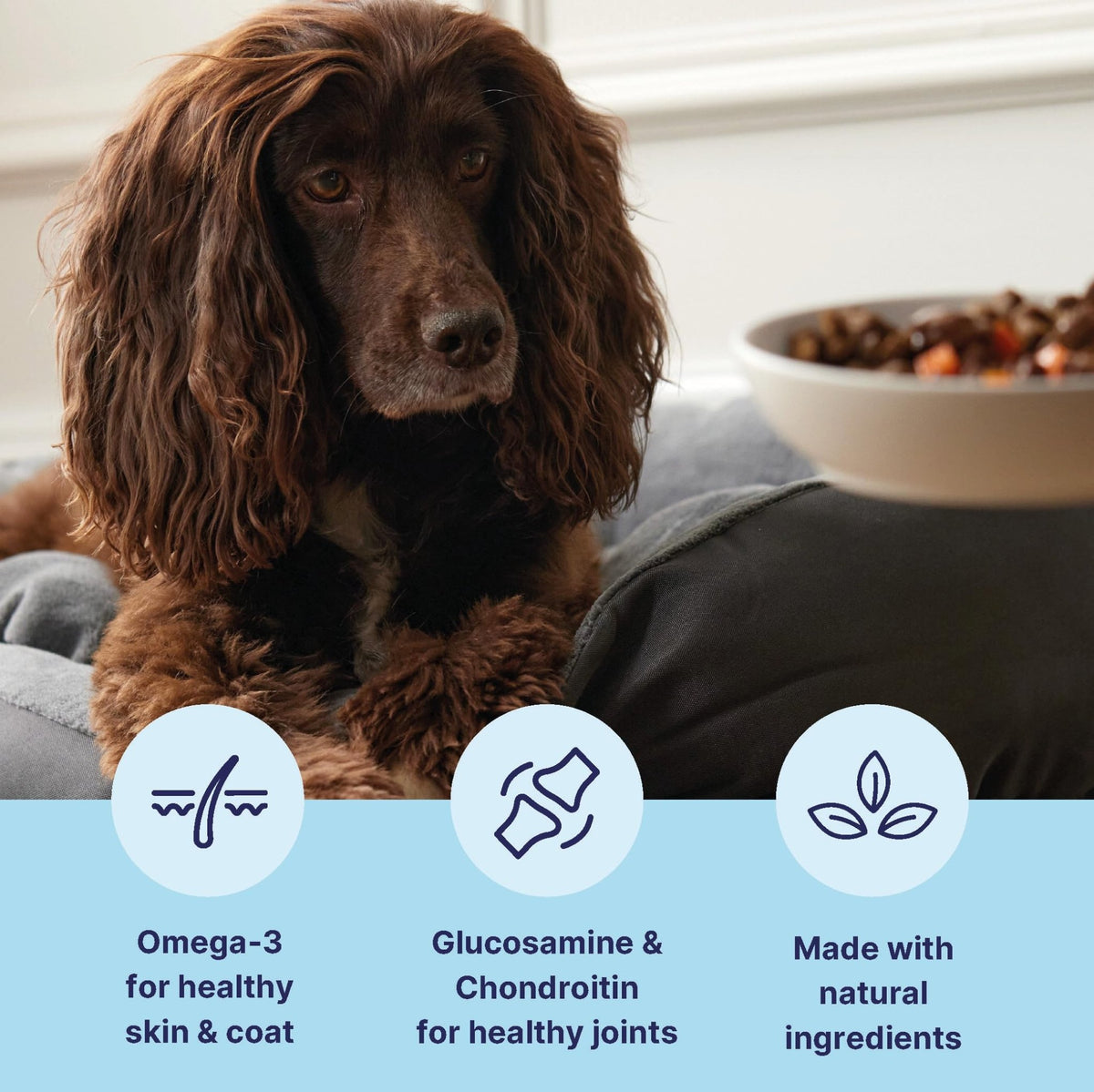 Tails.com Inner Vitality • Wet Dog Food 11 x 150g • Sensitive Chicken & Cod • Adult 1-7 years • Grain Free Recipe • Made with natural ingredients • Contains Omega 3 to Support Skin and Coat - Sayby’s