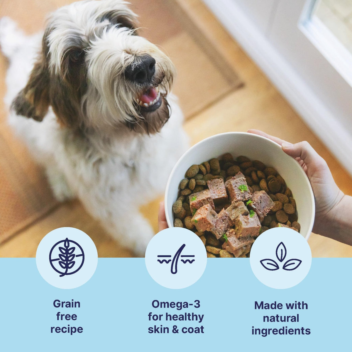Tails.com Inner Vitality • Wet Dog Food 11 x 150g • Sensitive Chicken & Cod • Adult 1-7 years • Grain Free Recipe • Made with natural ingredients • Contains Omega 3 to Support Skin and Coat - Sayby’s